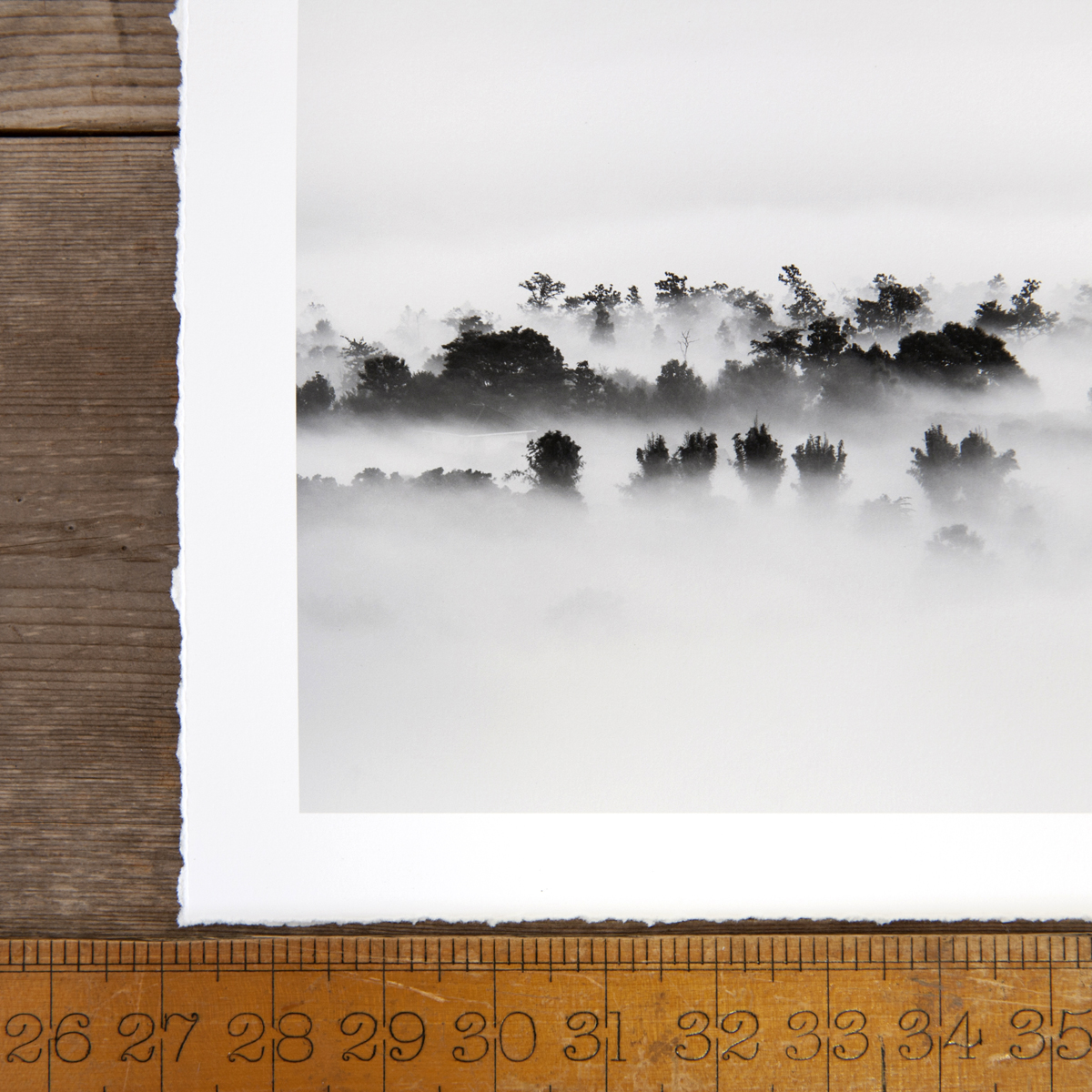 FineArt_004_1_websq