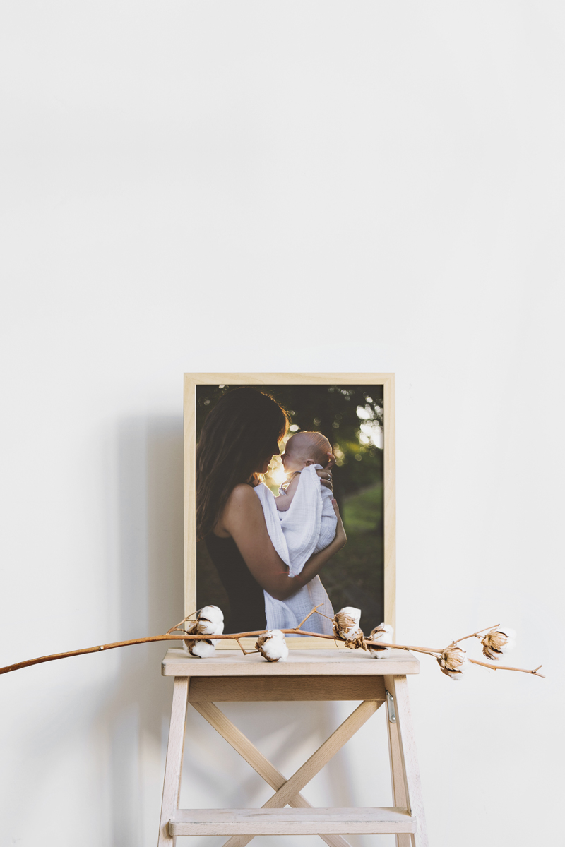 Framed-Canvas-Promo-Image_web