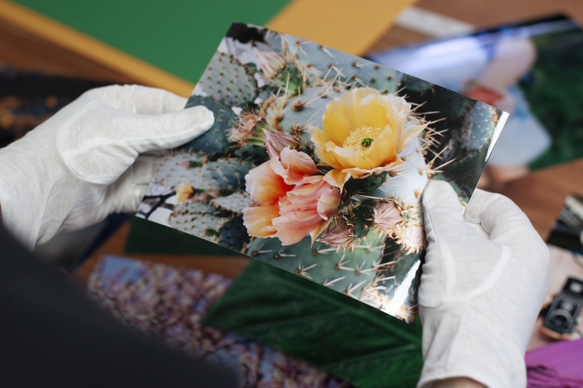 Holding-Prints-03_web